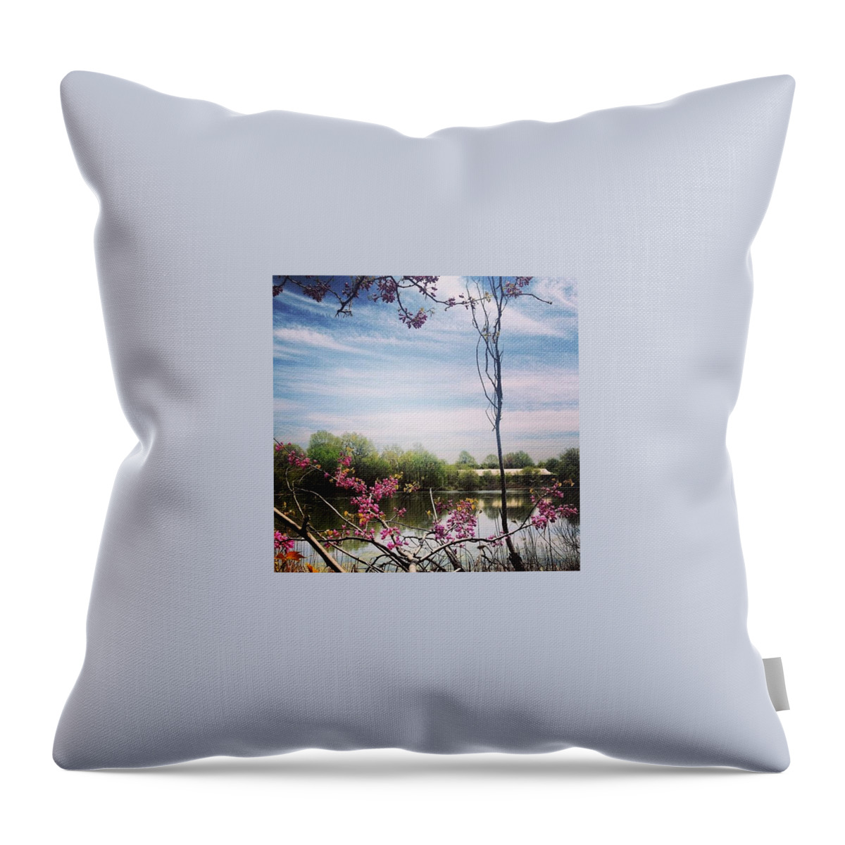 Beautiful Throw Pillow featuring the photograph #pleasedontmakemegoinside by Katie Cupcakes