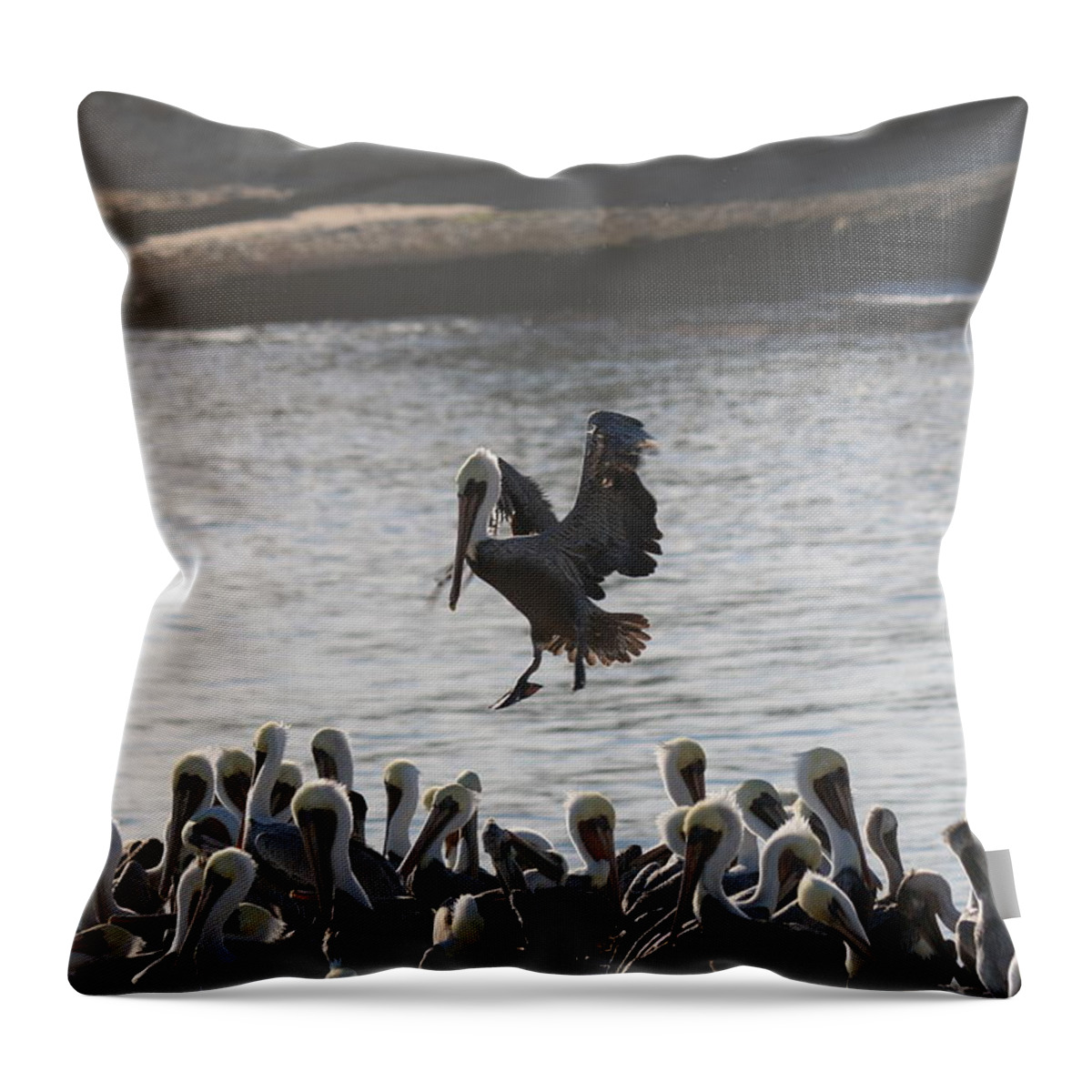 Pelican Throw Pillow featuring the photograph Plenty of Room by Christy Pooschke