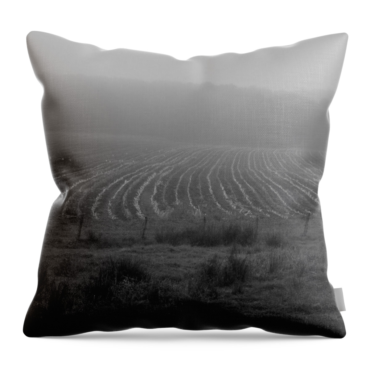 Bill Tomsa Throw Pillow featuring the photograph Plowed in the Fog by Bill Tomsa