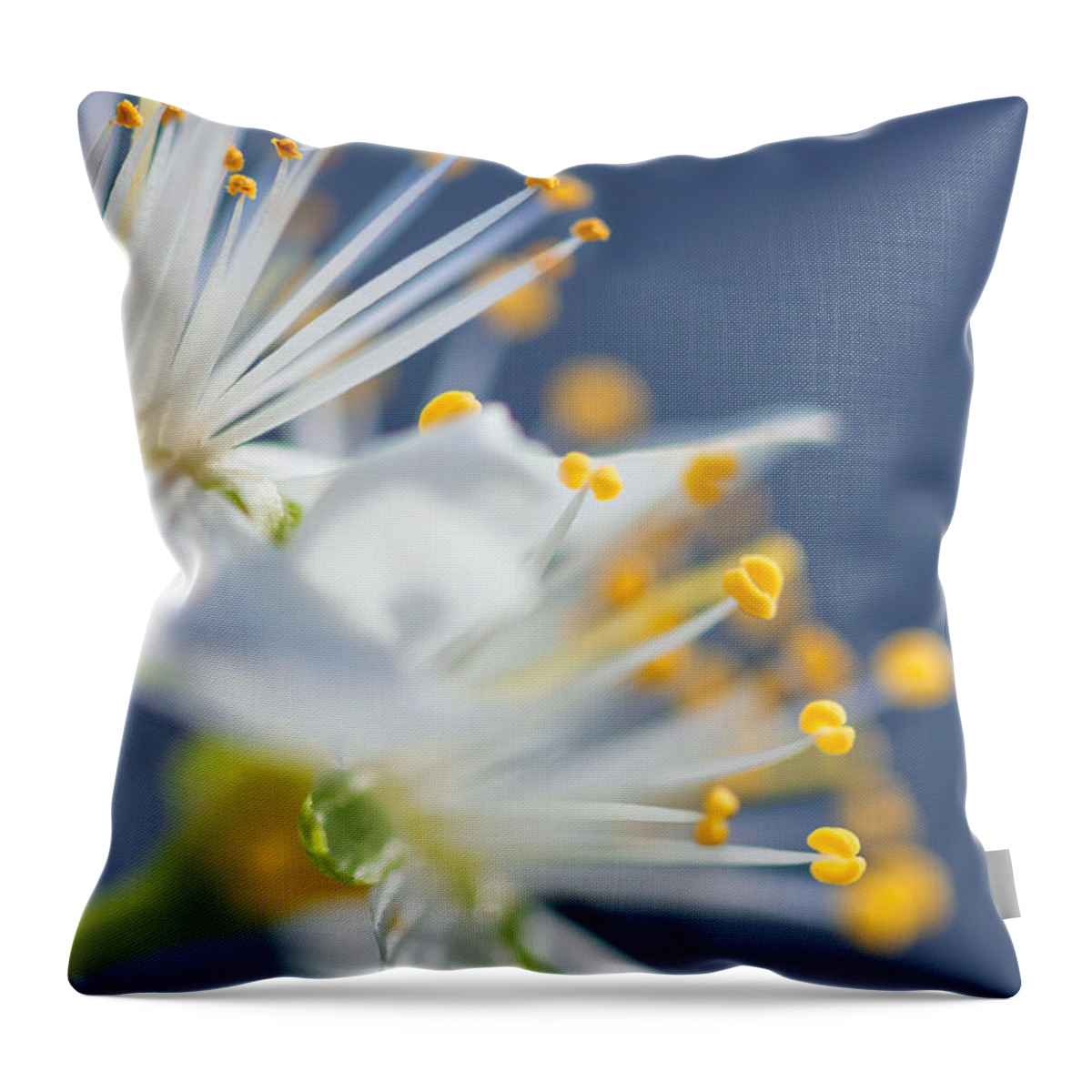 Nature Throw Pillow featuring the photograph Plum Blossoms by Jonathan Nguyen