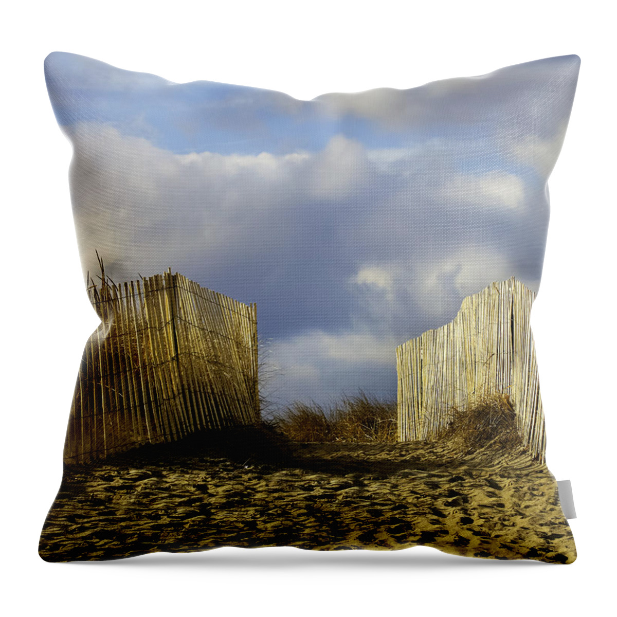 Beach Throw Pillow featuring the photograph Plum Island Fence by Betty Denise