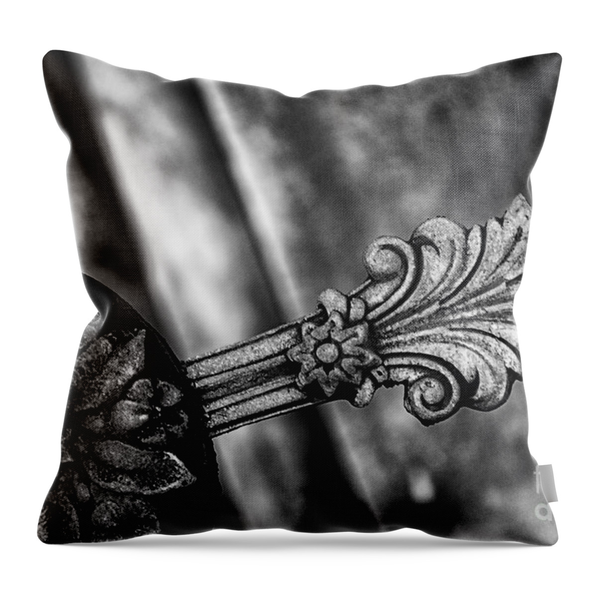 Iron Throw Pillow featuring the photograph Plume and Rosette Cast Iron - Monochrome by Kathleen K Parker