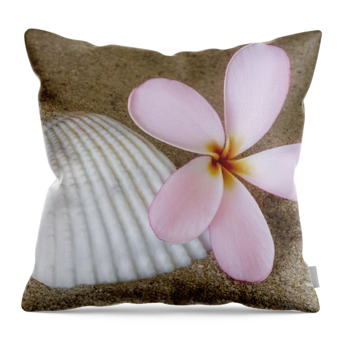 Plumeria Throw Pillow featuring the photograph Plumeria Flower And Sea Shell by Susan Candelario