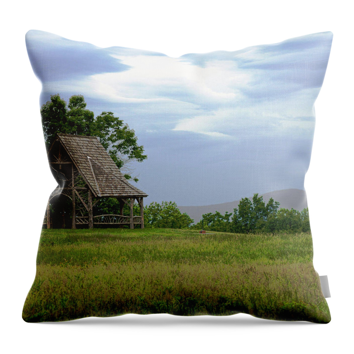 Landscape Throw Pillow featuring the photograph Poets' Walk by Judy Salcedo