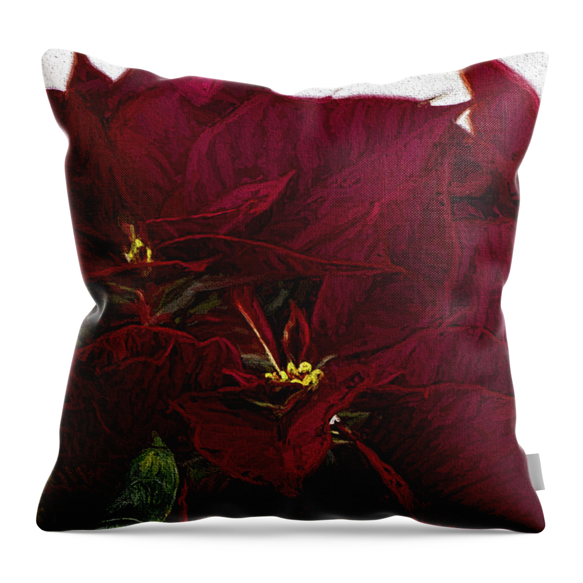Poinsettia Throw Pillow featuring the photograph Poinsettia 3 Digital Painting on Canvas 2 by Sharon Talson