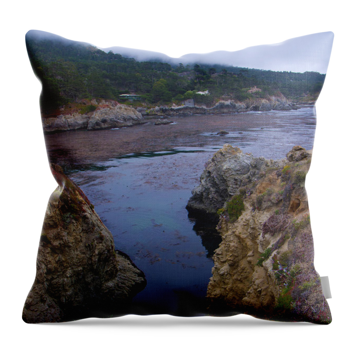 Point Lobos Throw Pillow featuring the photograph Point Lobos 5096 by Tom Kelly