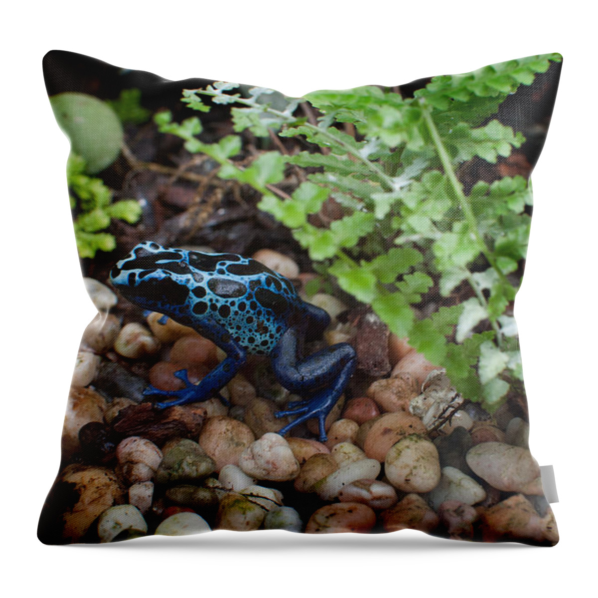 Animals Throw Pillow featuring the digital art Poison Dart Frog by Carol Ailles