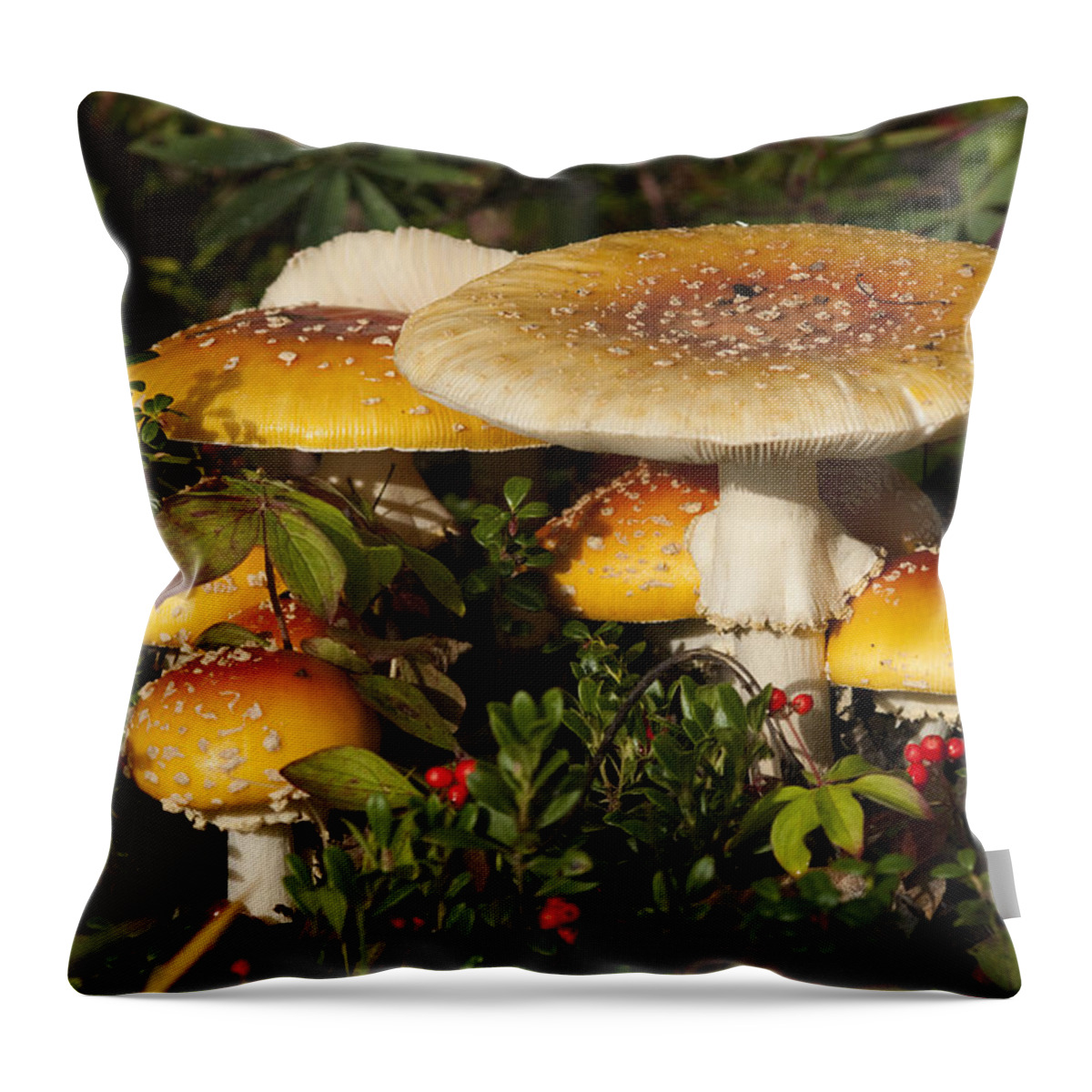 530802 Throw Pillow featuring the photograph Poisonous Fly Agaric Mushrooms Yukon by Michael Quinton