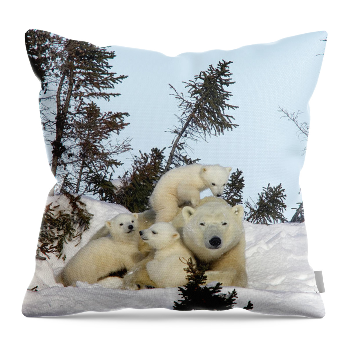 00600983 Throw Pillow featuring the photograph Polar Bear and Trio of Cubs by Matthias Breiter