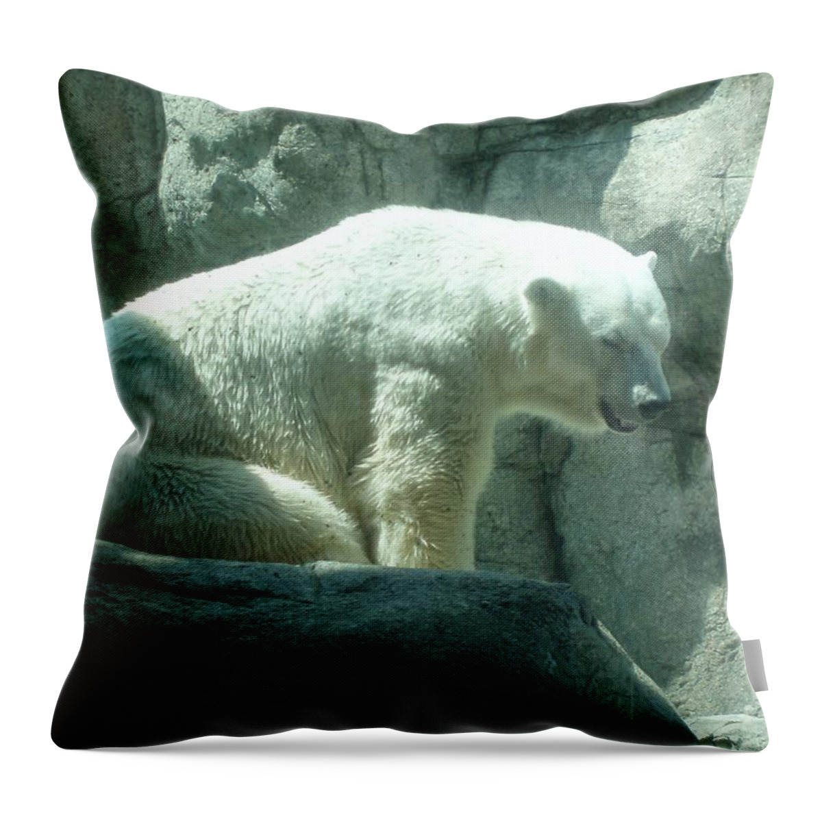 Wildlife Throw Pillow featuring the photograph Polar Bear by Fortunate Findings Shirley Dickerson