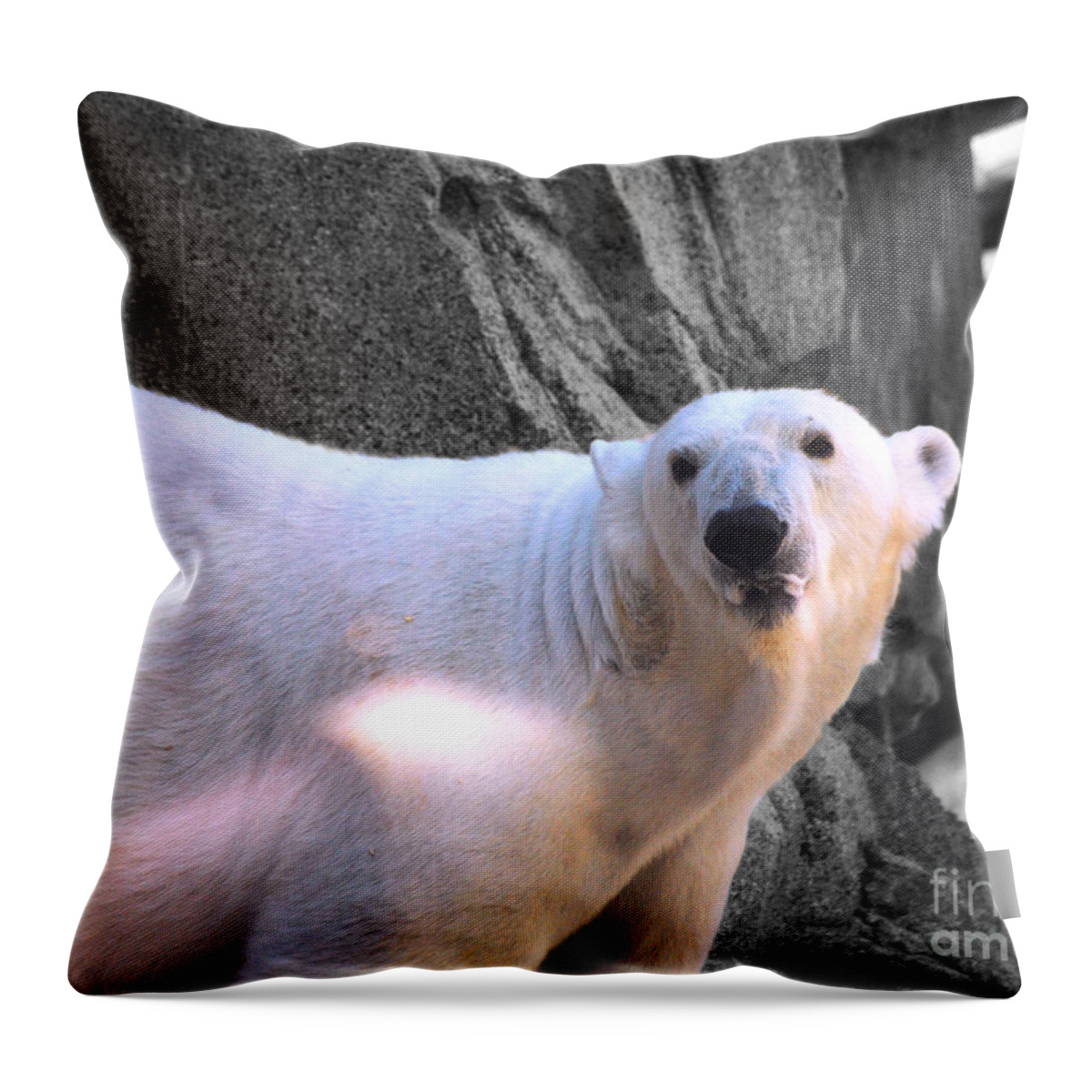 Polar Throw Pillow featuring the photograph Polar Bear by Jai Johnson