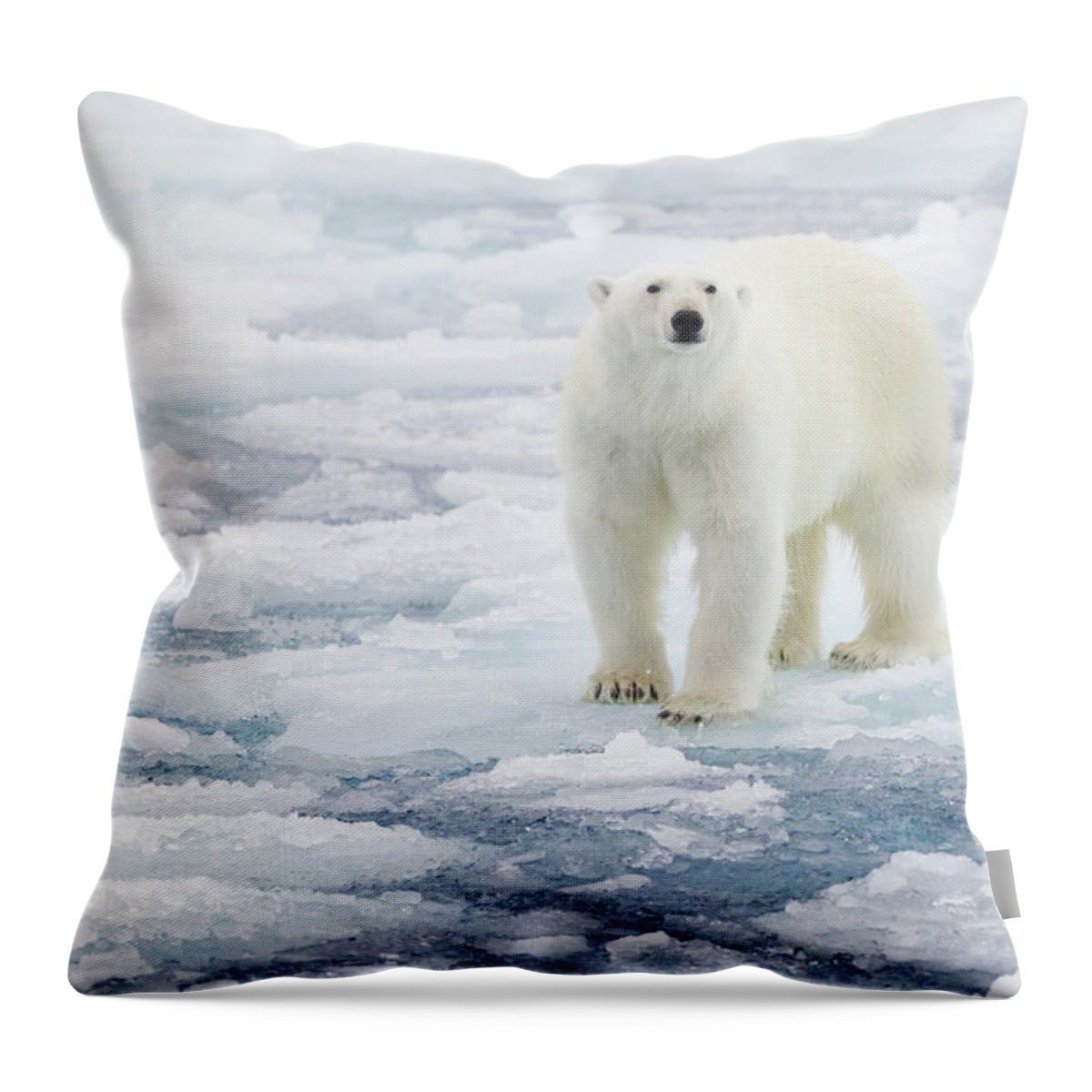 Vertebrate Throw Pillow featuring the photograph Polar Bear by Kencanning