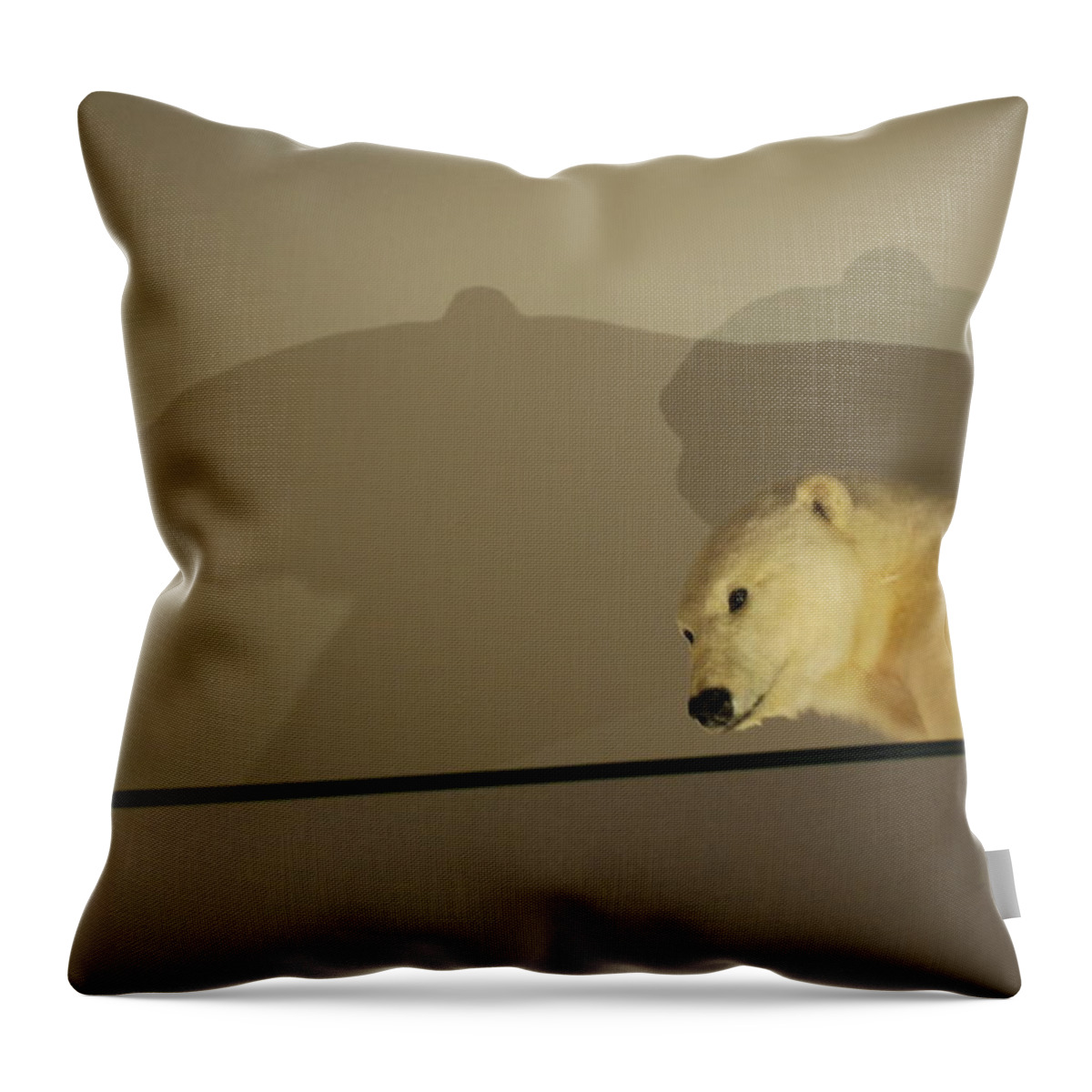 Natural History Throw Pillow featuring the photograph Polar Bear Shadows by Kenny Glover