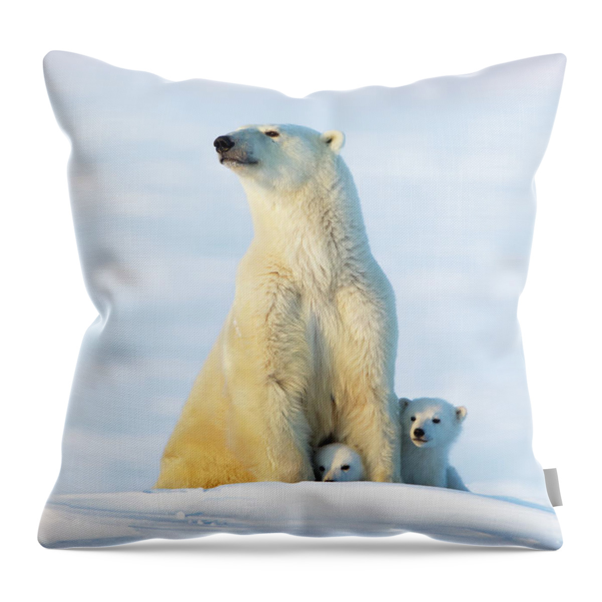 Bear Cub Throw Pillow featuring the photograph Polar Bear Ursus Maritimus Sow And Cubs by Richard Wear / Design Pics