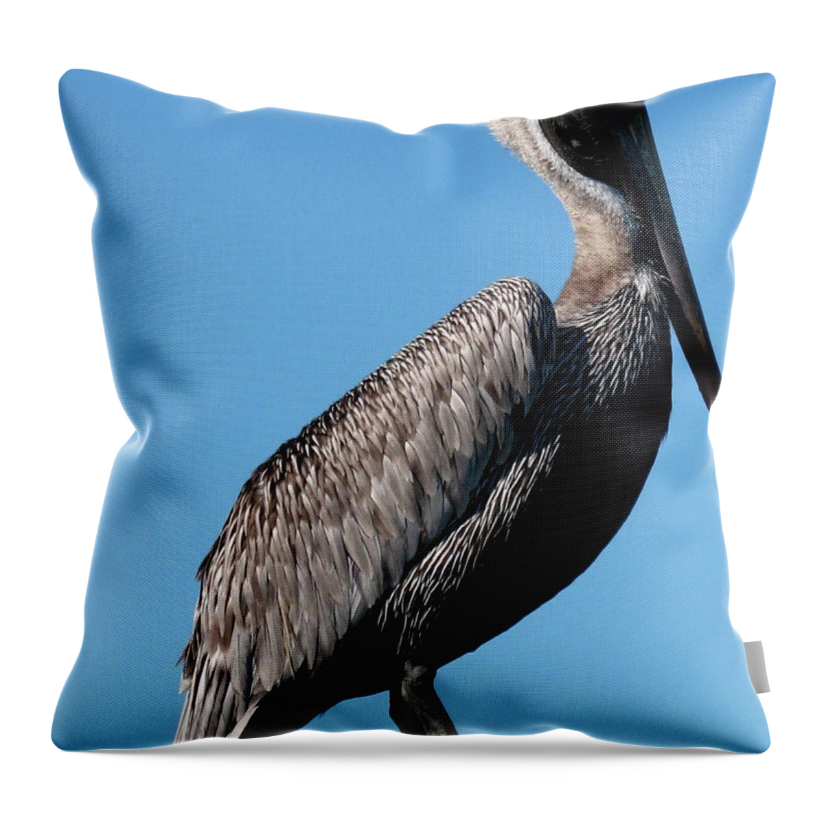 Pelican Throw Pillow featuring the photograph Pole With Pelican by Christiane Schulze Art And Photography