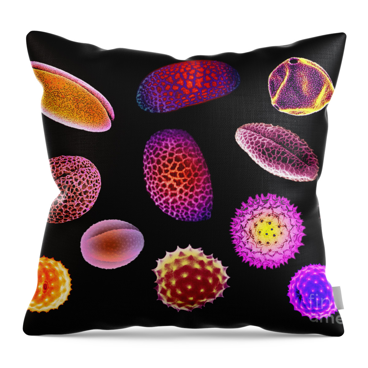 Daffodil Throw Pillow featuring the photograph Pollen Grains by Scott Camazine