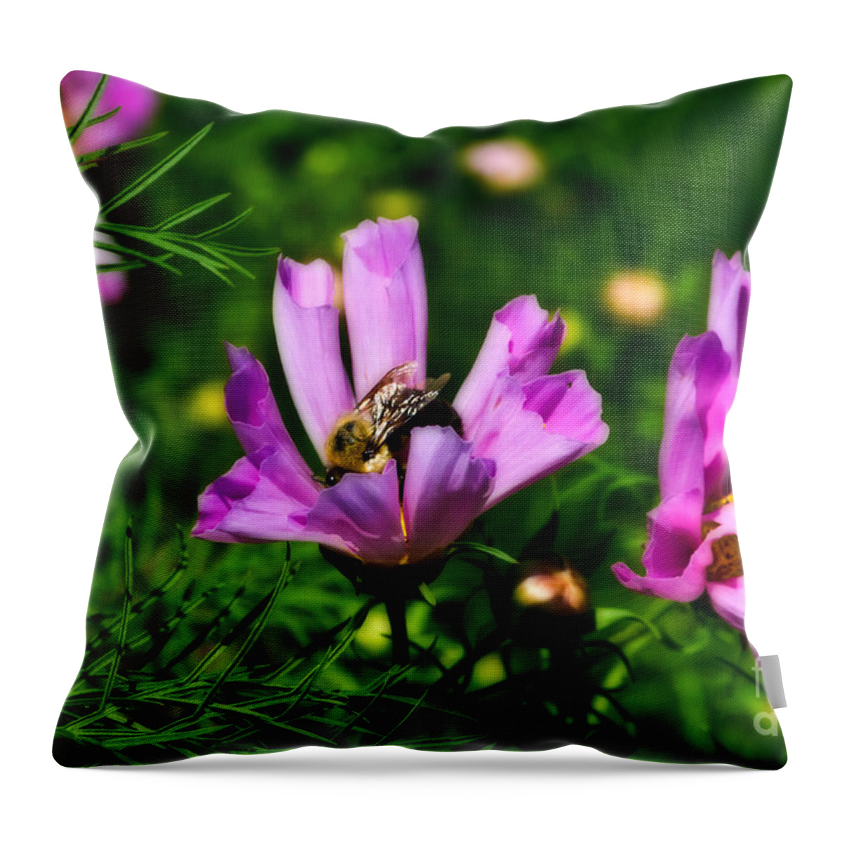 Flower Throw Pillow featuring the photograph Pollinating Flowering by Ms Judi