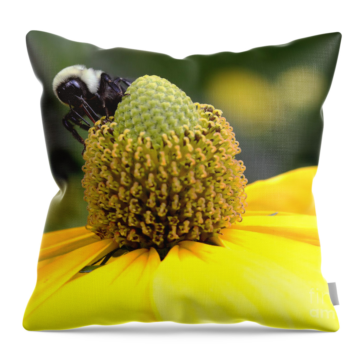 Pollination Throw Pillow featuring the photograph Pollination by Rick Kuperberg Sr