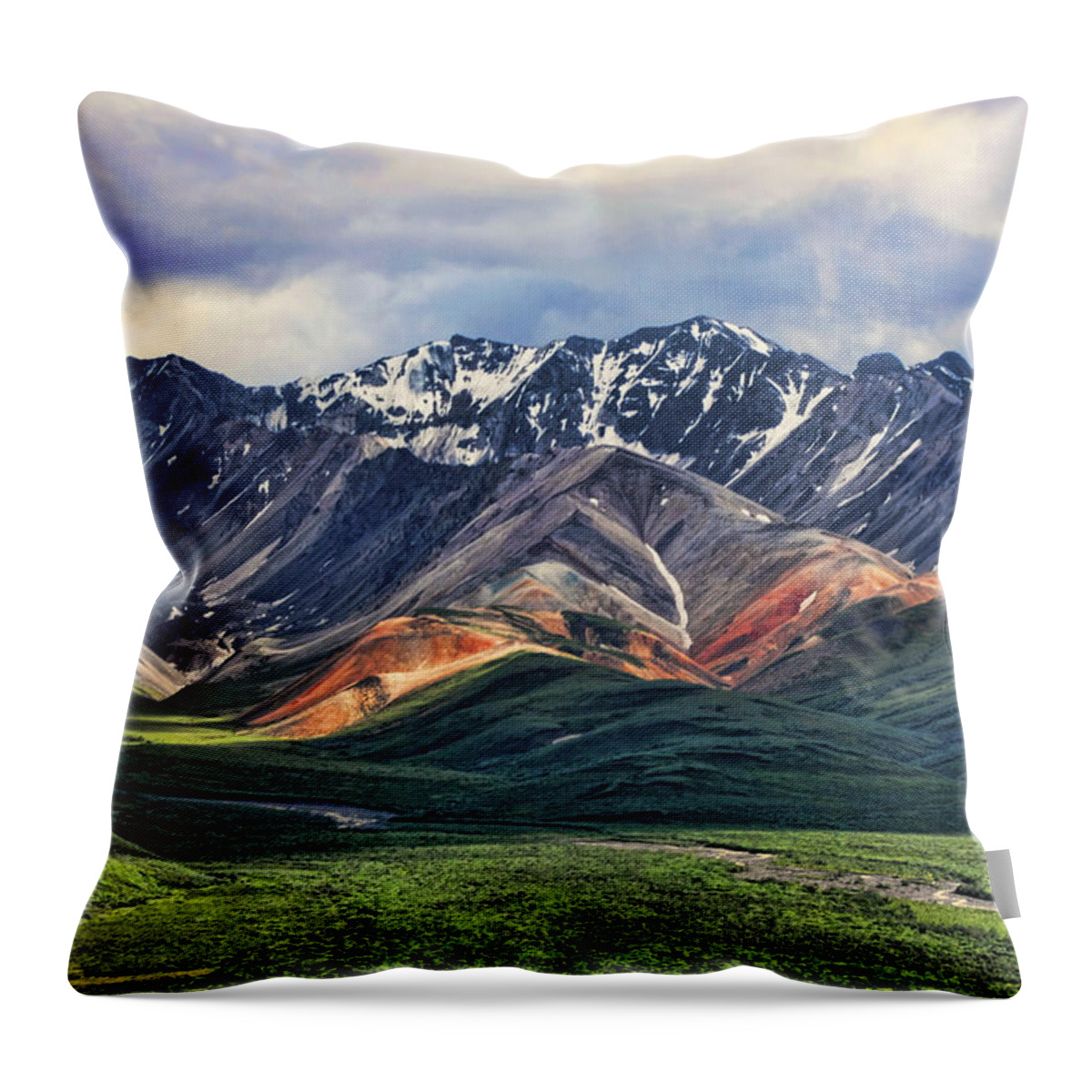 Polychrome Throw Pillow featuring the photograph Polychrome by Heather Applegate