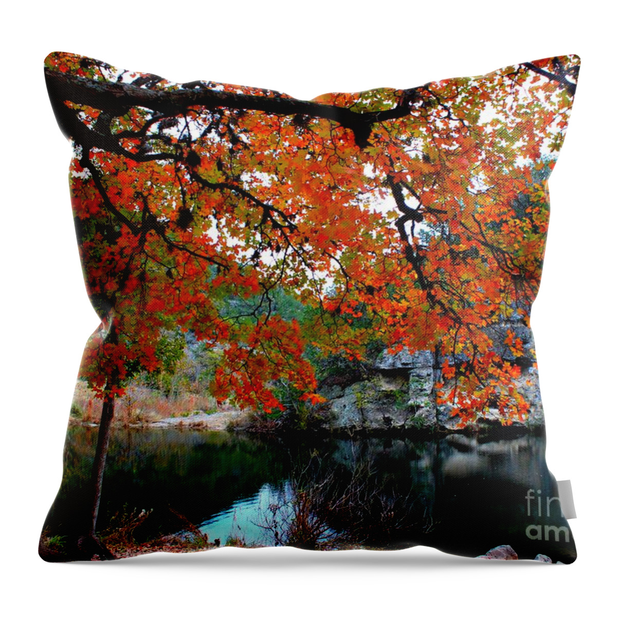 Pond Throw Pillow featuring the photograph Fall at Lost Maples State Natural Area by Michael Tidwell