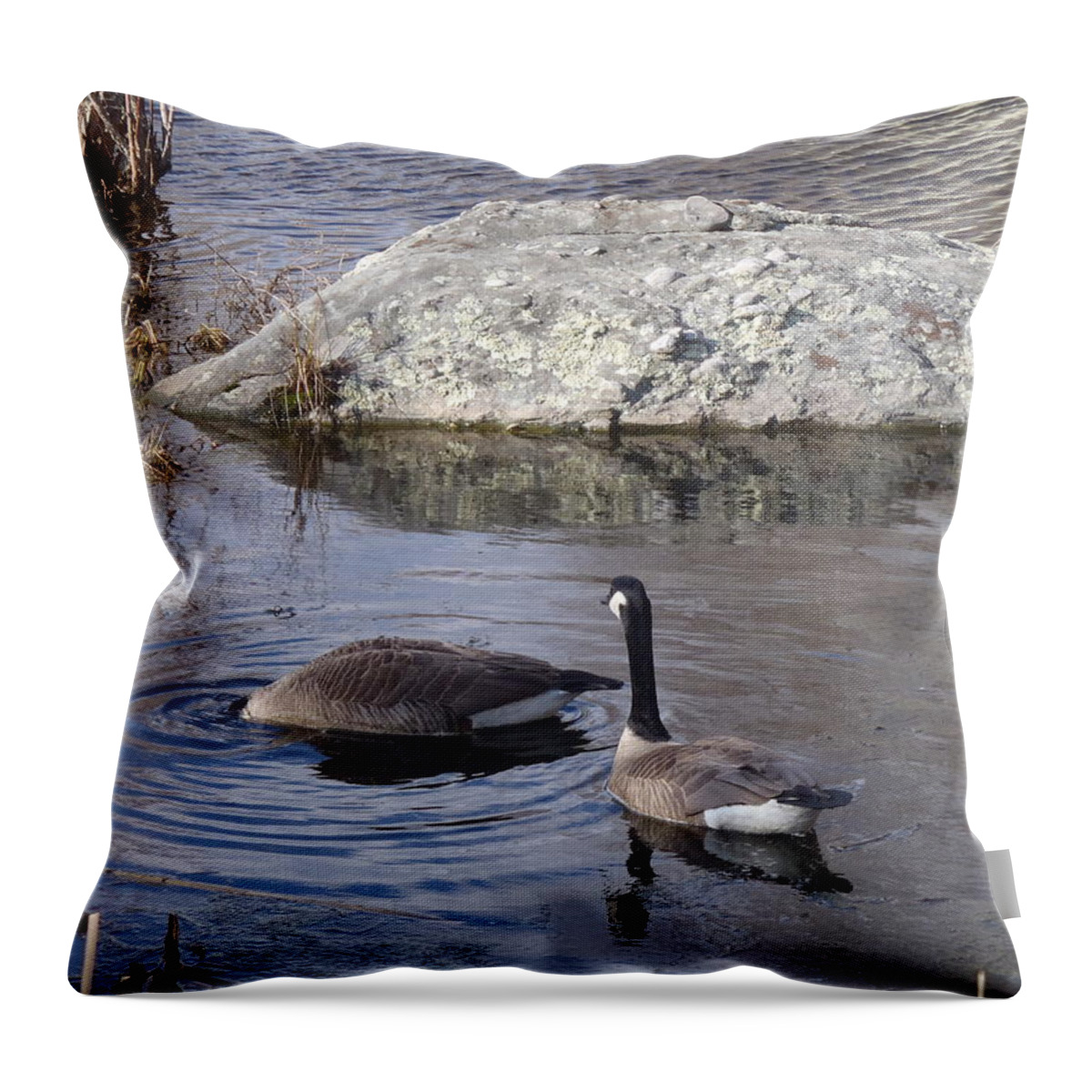 Geese Throw Pillow featuring the photograph Pond Diving by Robert Nickologianis