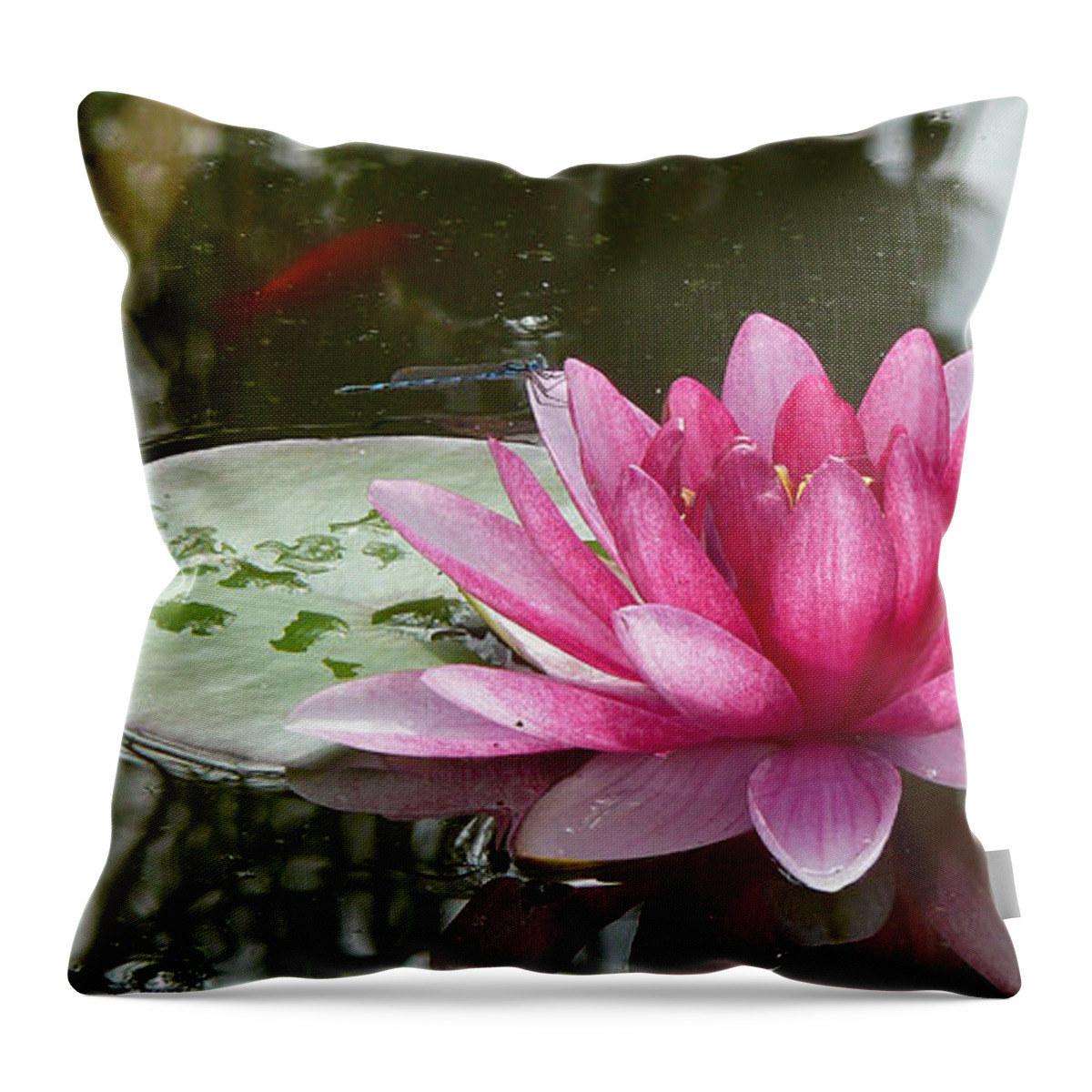 Water Lily Throw Pillow featuring the photograph Pond Magic by Evelyn Tambour