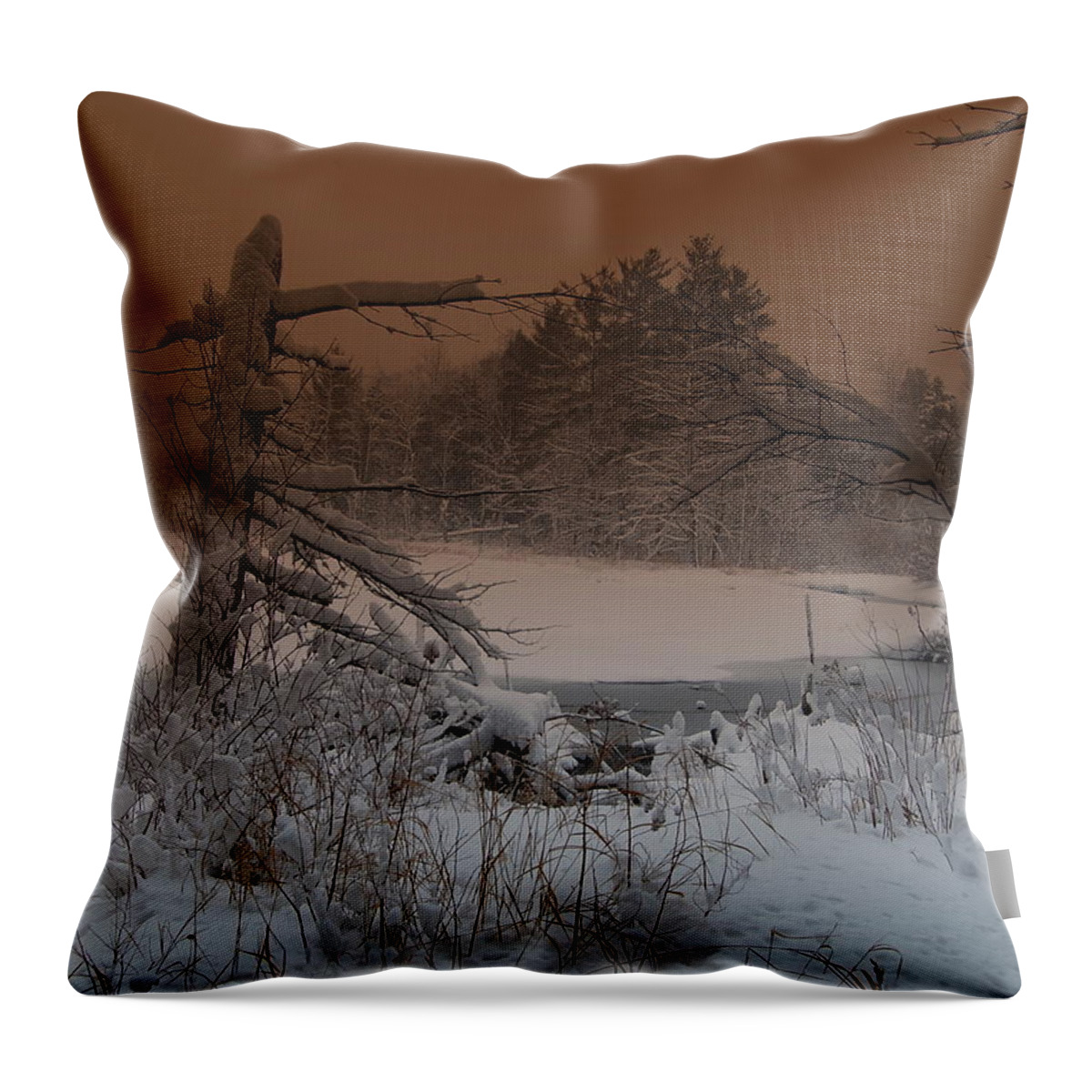 Pond Throw Pillow featuring the photograph Pond Scape by Mim White