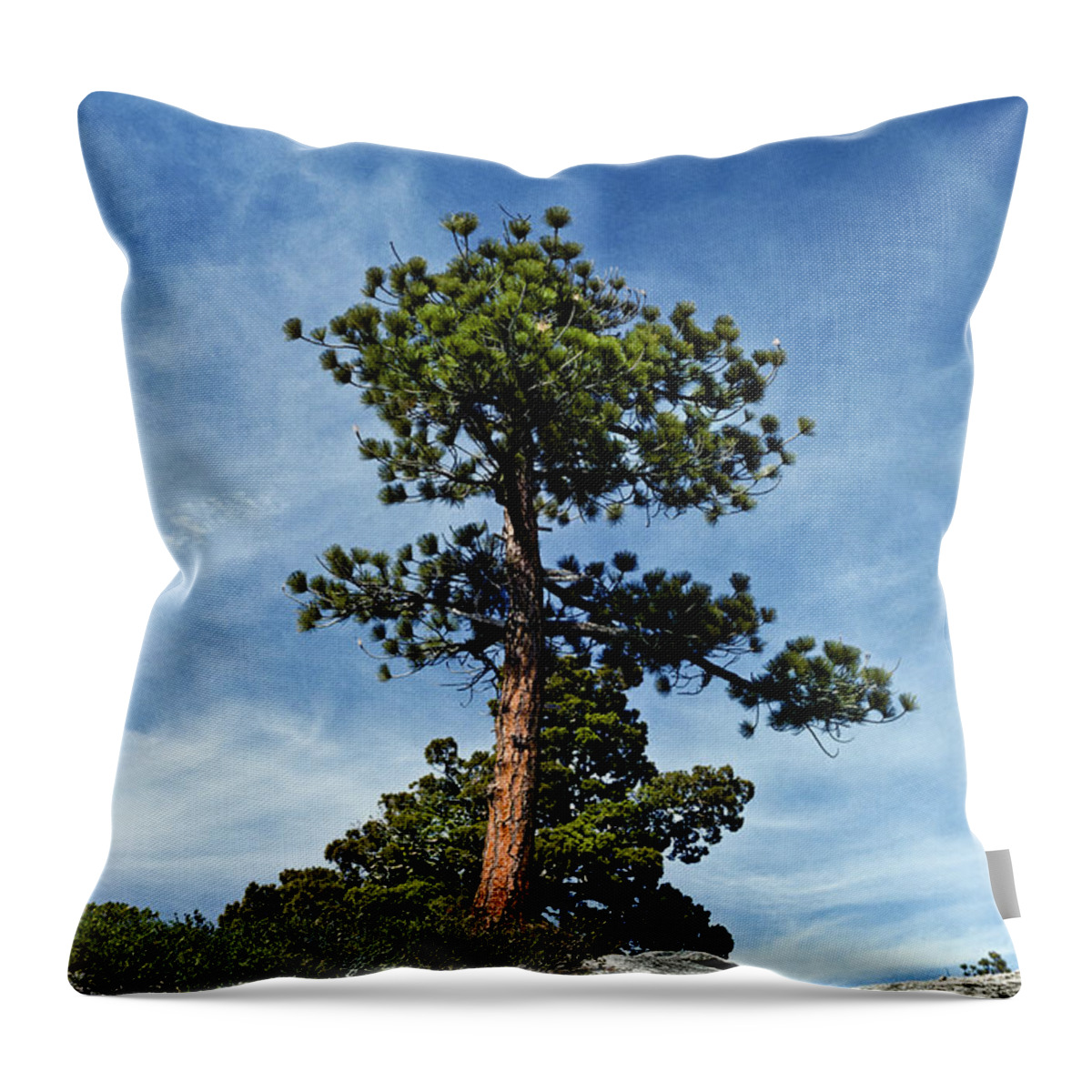 Beauty In Nature Throw Pillow featuring the photograph Ponderosa Pine and Granite Boulders by Jeff Goulden