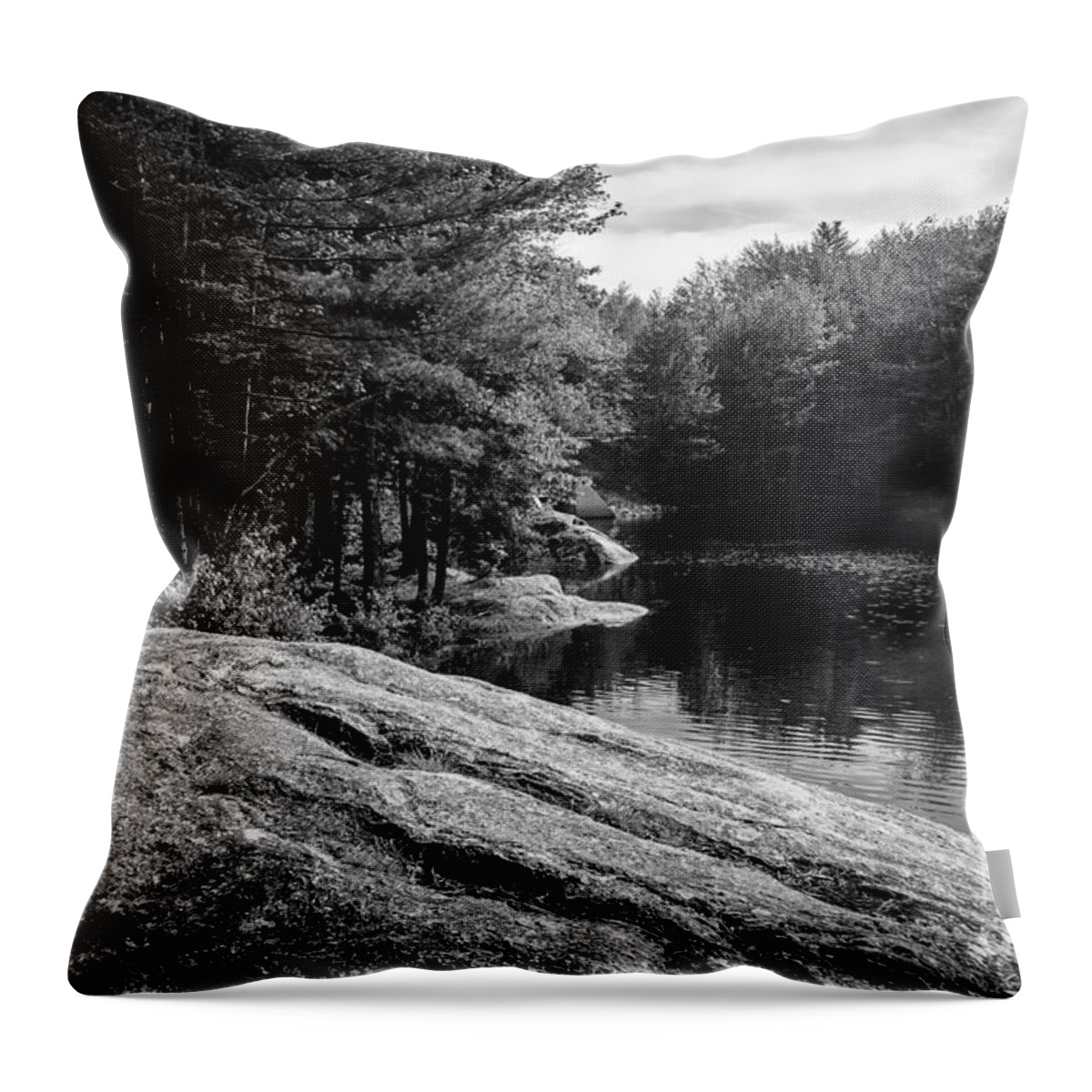 2013 Throw Pillow featuring the photograph Pondside by Mark Myhaver