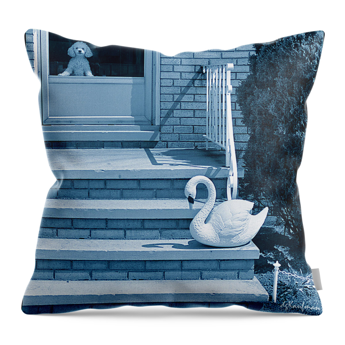 Poodle & Swan Throw Pillow featuring the photograph Poodle and Swan by Dolores Kaufman