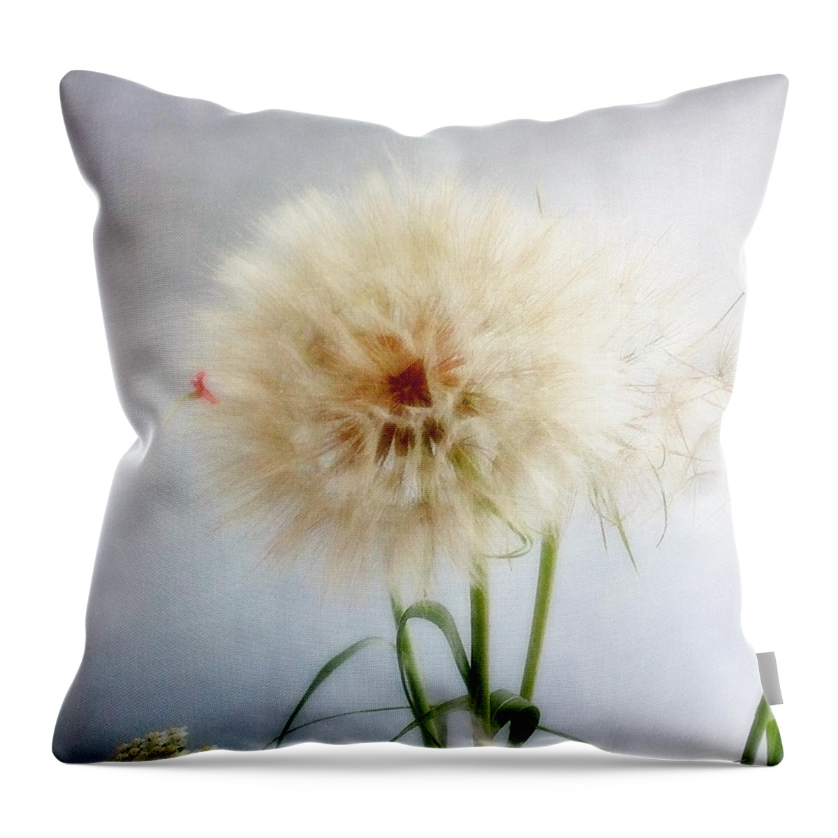 Nature Throw Pillow featuring the photograph Poof by Louise Kumpf