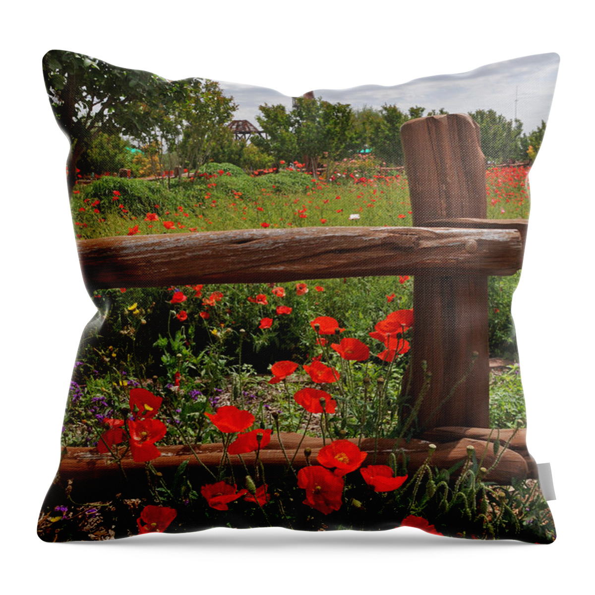 Wildflowers Throw Pillow featuring the photograph Poppies at the Farm by Lynn Bauer