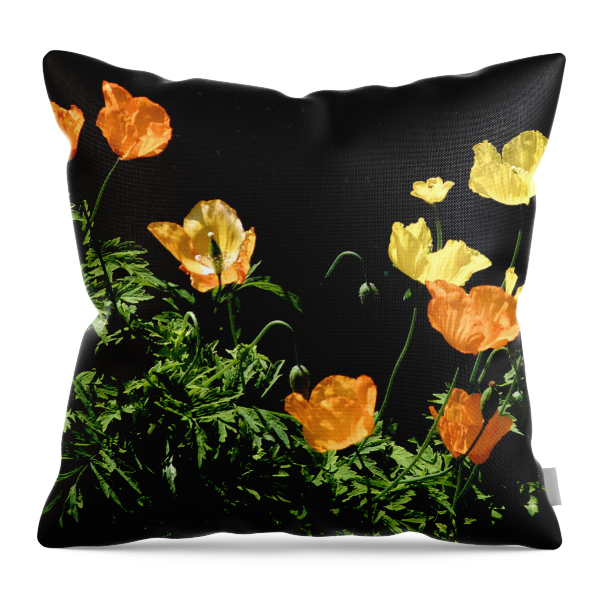 Poppy Throw Pillow featuring the photograph Poppies by Mark Egerton