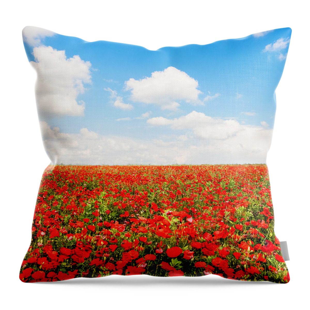 Agriculture Throw Pillow featuring the photograph Poppy flowers with blue sky by JR Photography