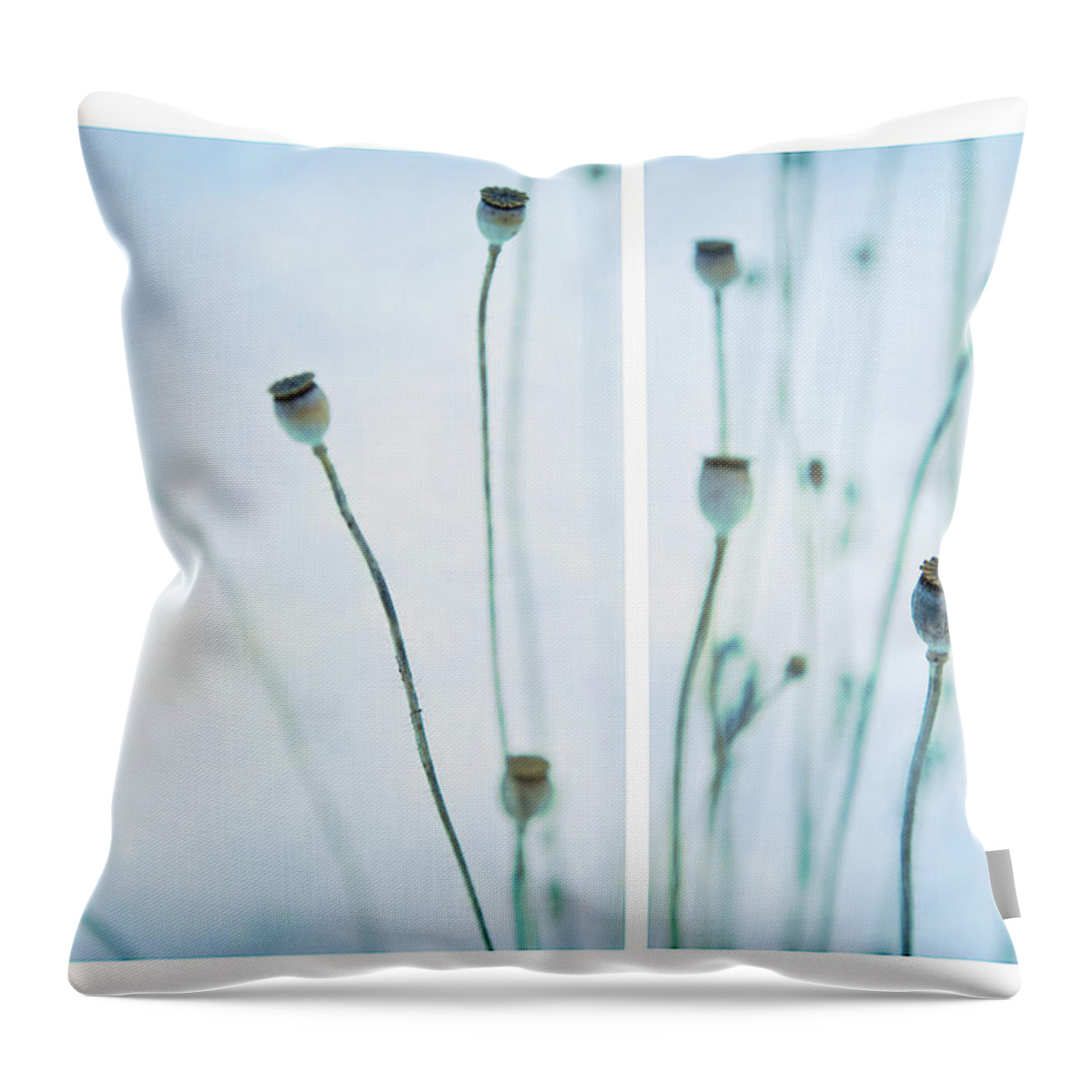 Seeds Throw Pillow featuring the photograph Poppy Seed Pods by Theresa Tahara