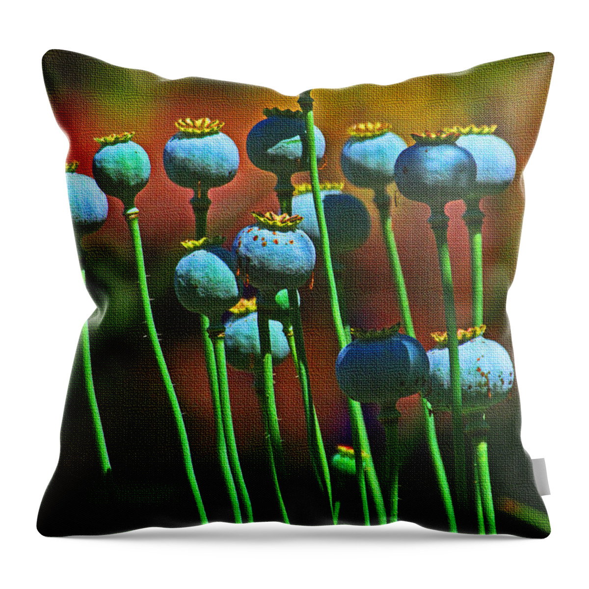 Poppy Seed Pods Throw Pillow featuring the photograph Poppy Seed Pods by Tom Janca