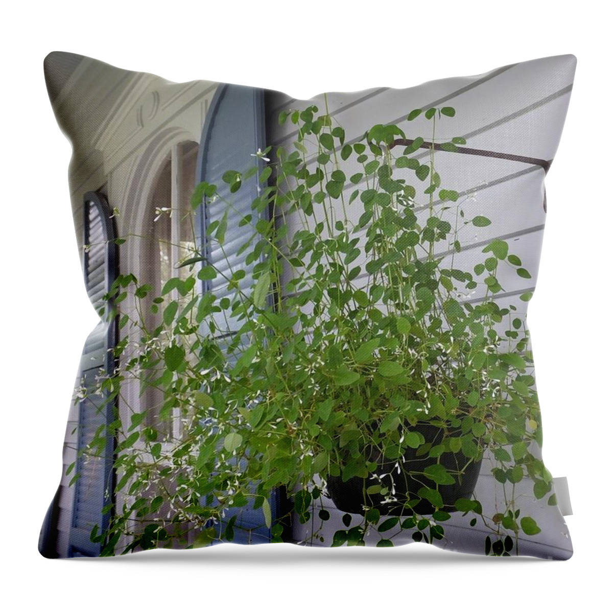 Plant Throw Pillow featuring the photograph Porch St Francisville LA by Lizi Beard-Ward