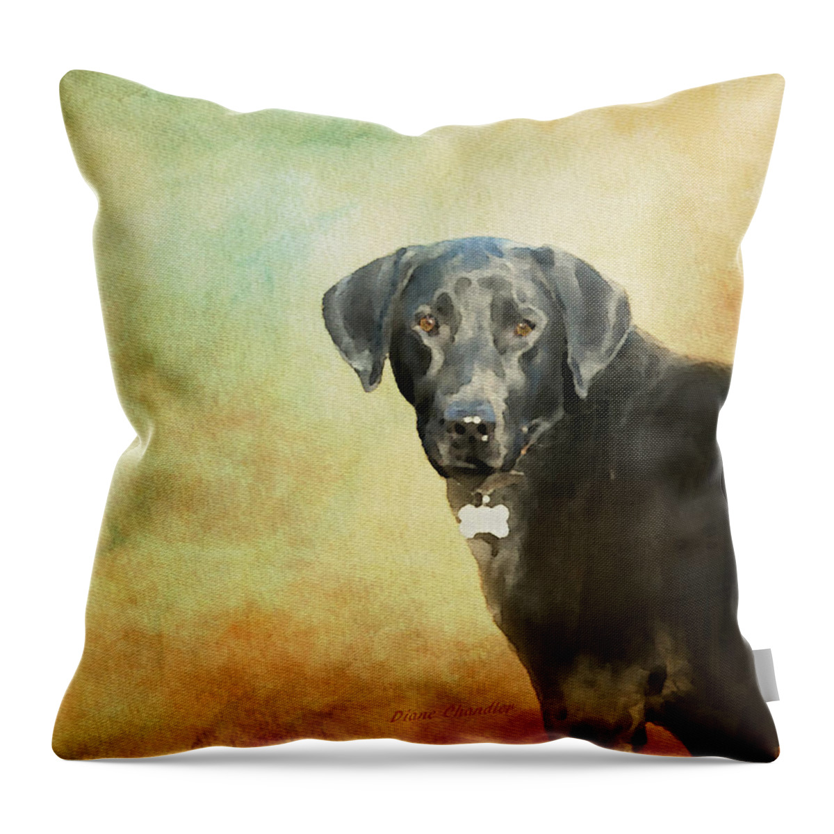 Dog Throw Pillow featuring the painting Portrait of a Black Labrador Retriever by Diane Chandler