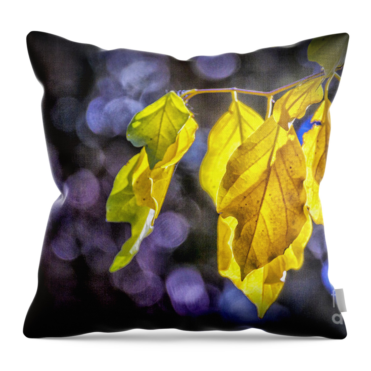 Fall Color Throw Pillow featuring the digital art Portrait of a Dying Leaf by Georgianne Giese
