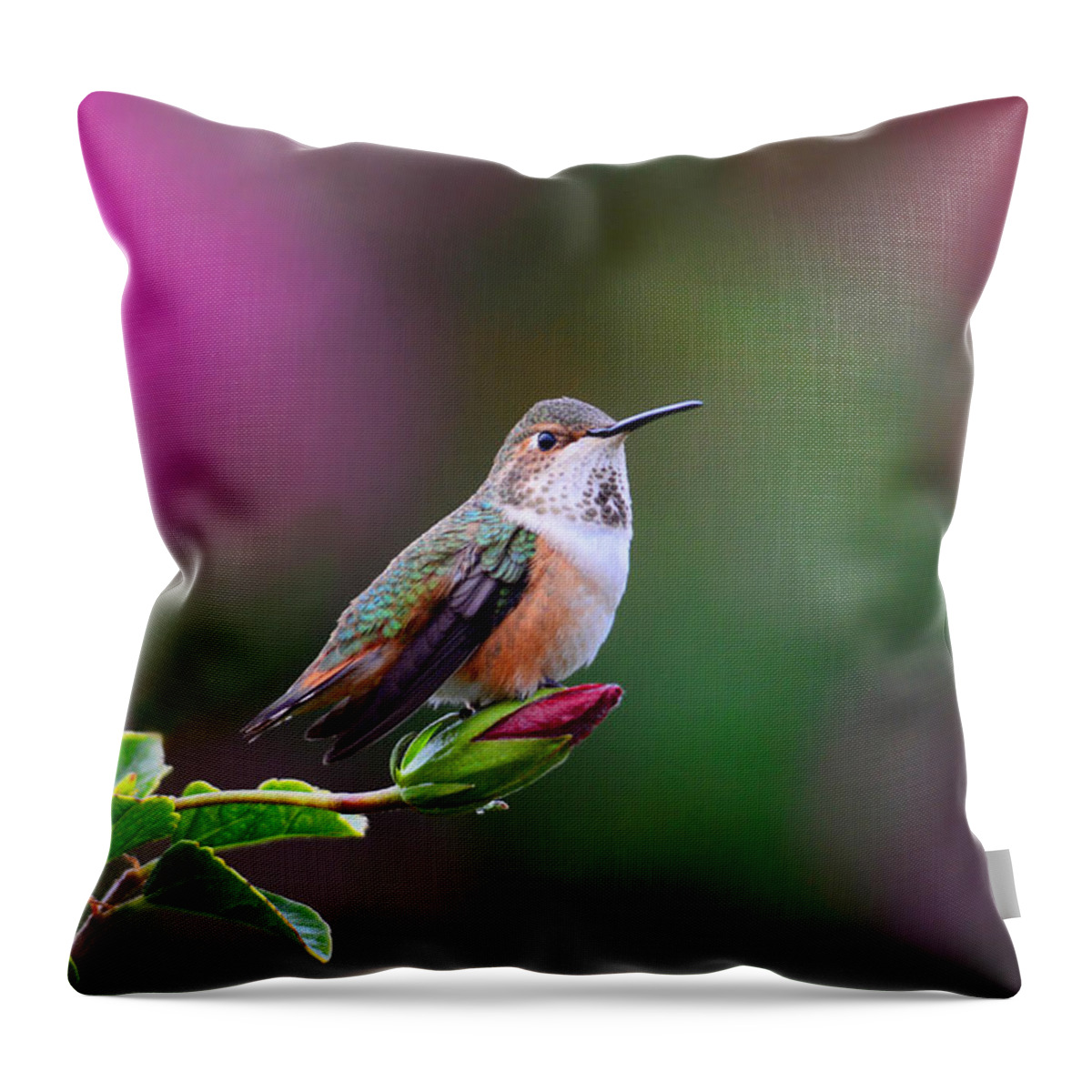 Hummer Throw Pillow featuring the photograph Portrait of a Hummer 2 by Lynn Bauer