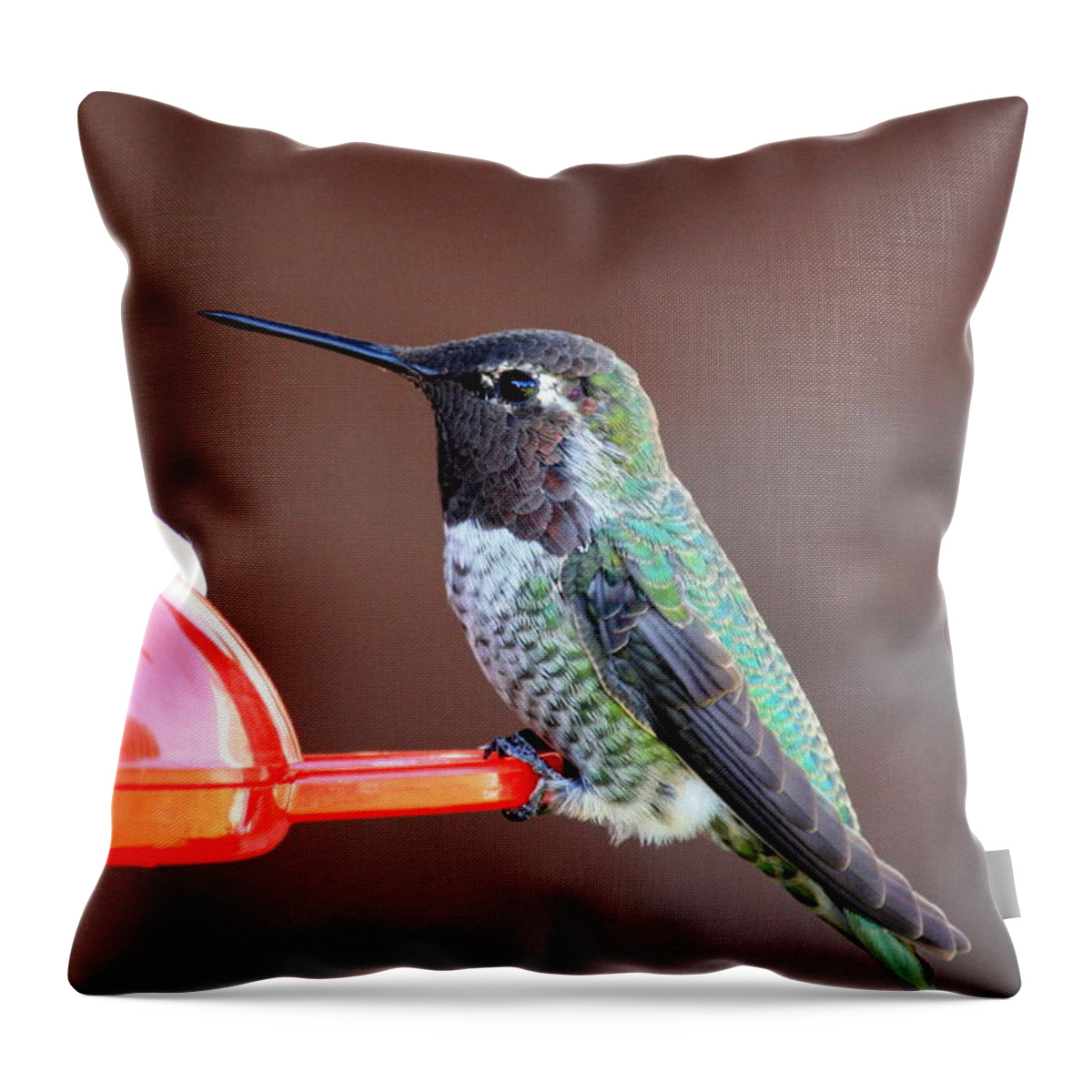Hummingbird Throw Pillow featuring the photograph Portrait of a Hummingbird by Carol Groenen