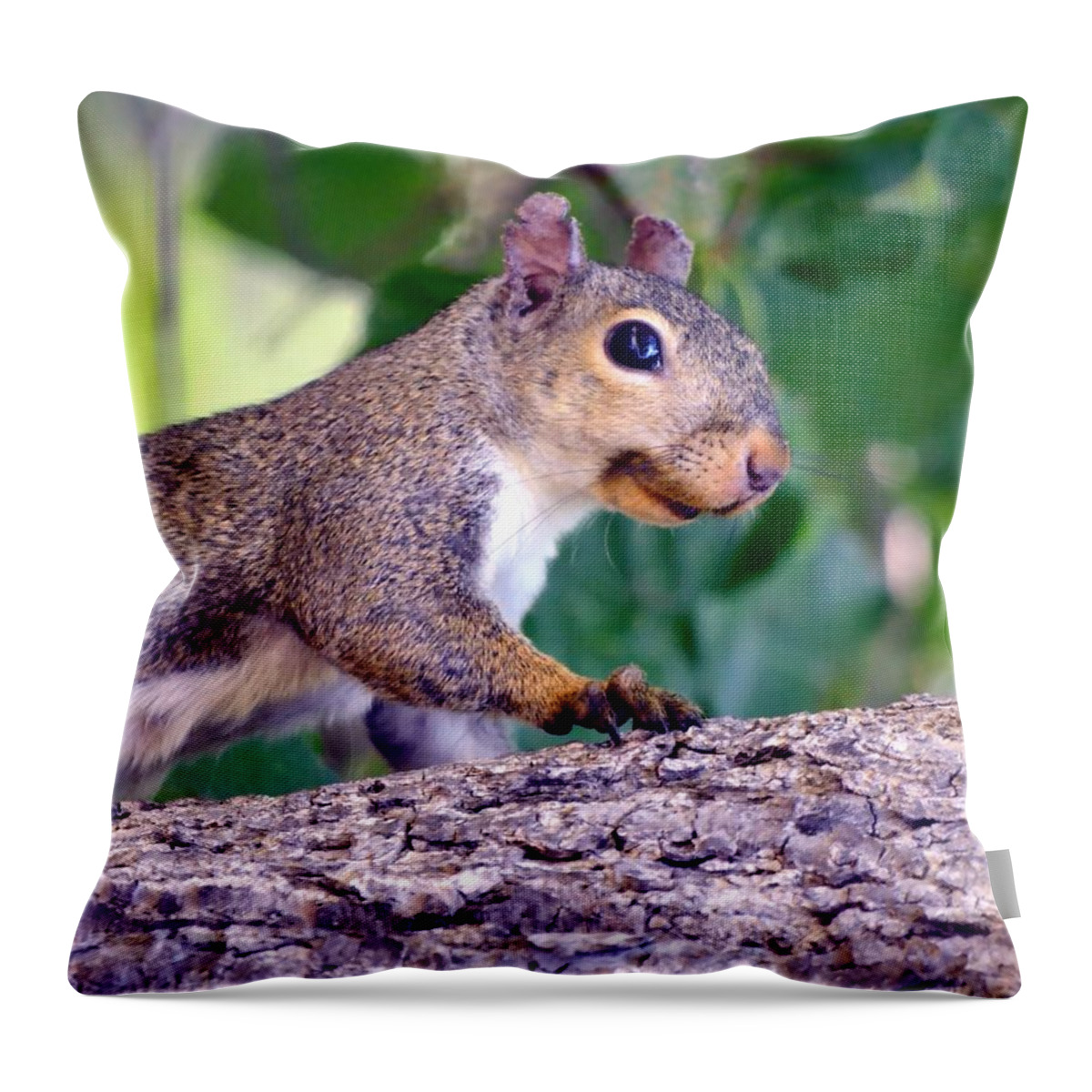 Squirrel Throw Pillow featuring the photograph Portrait Of A Squirrel by Deena Stoddard