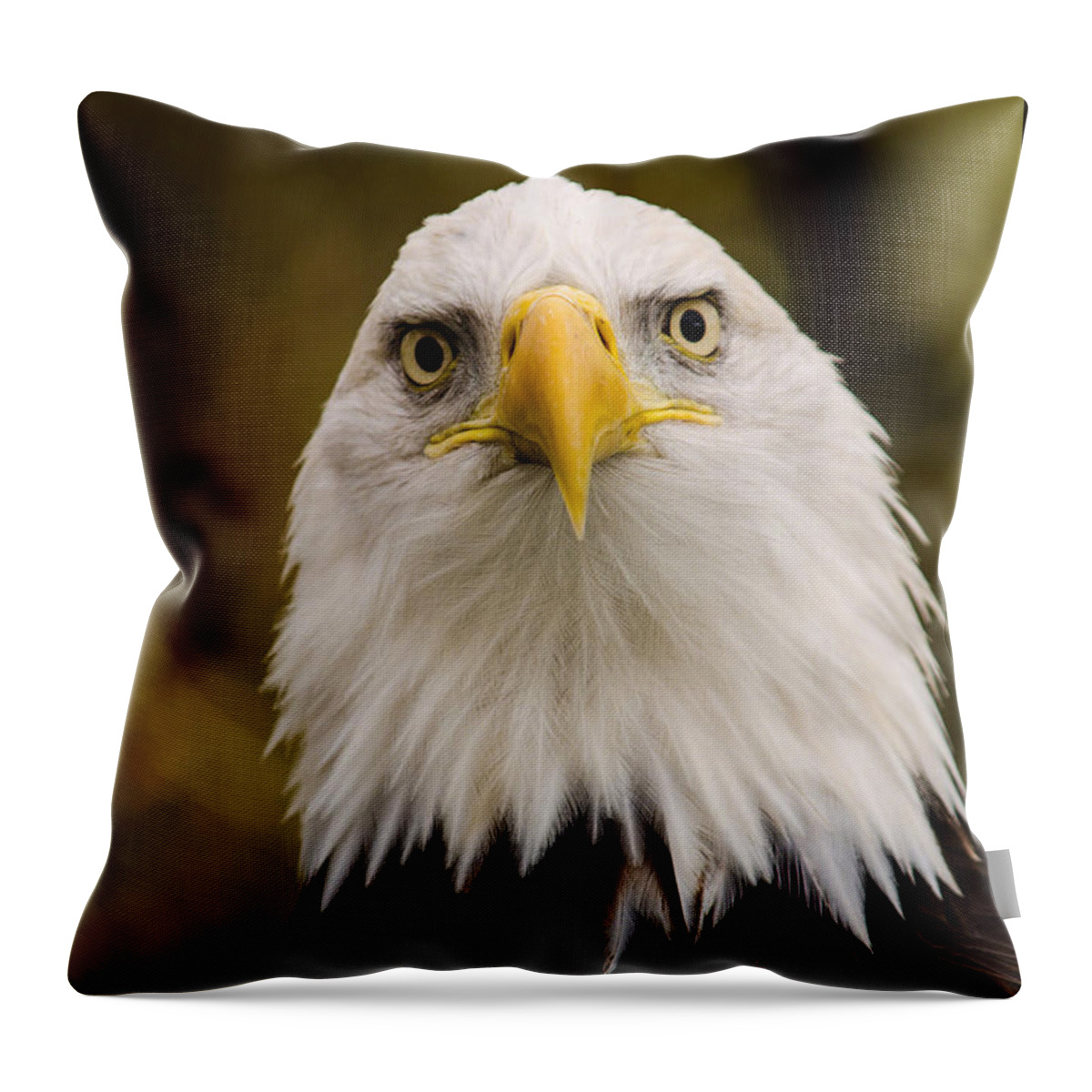Eagle Throw Pillow featuring the photograph Portrait Of An Eagle by Jordan Blackstone