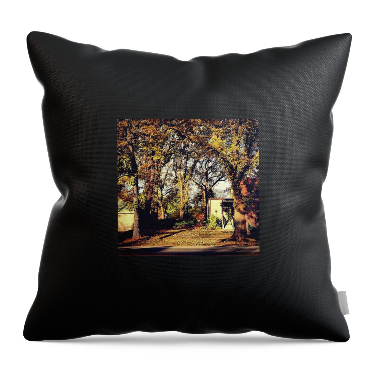 Square Format Throw Pillow featuring the photograph Portrait Of Autumn by Frank J Casella