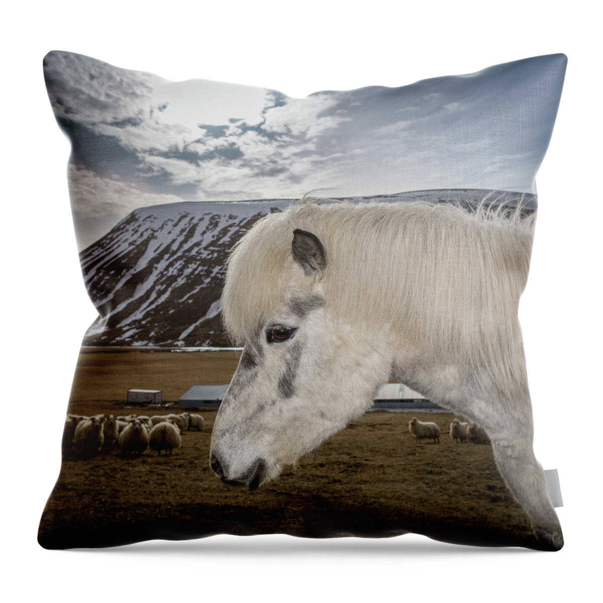 Alertness Throw Pillow featuring the photograph Portrait Of White Horse by Arctic-images
