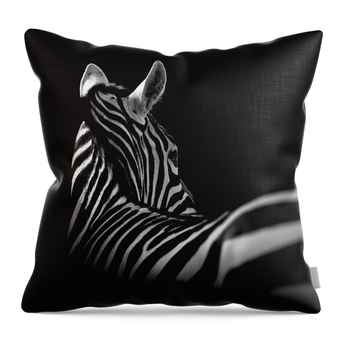 #faatoppicks Throw Pillow featuring the photograph Portrait of Zebra in black and white II by Lukas Holas
