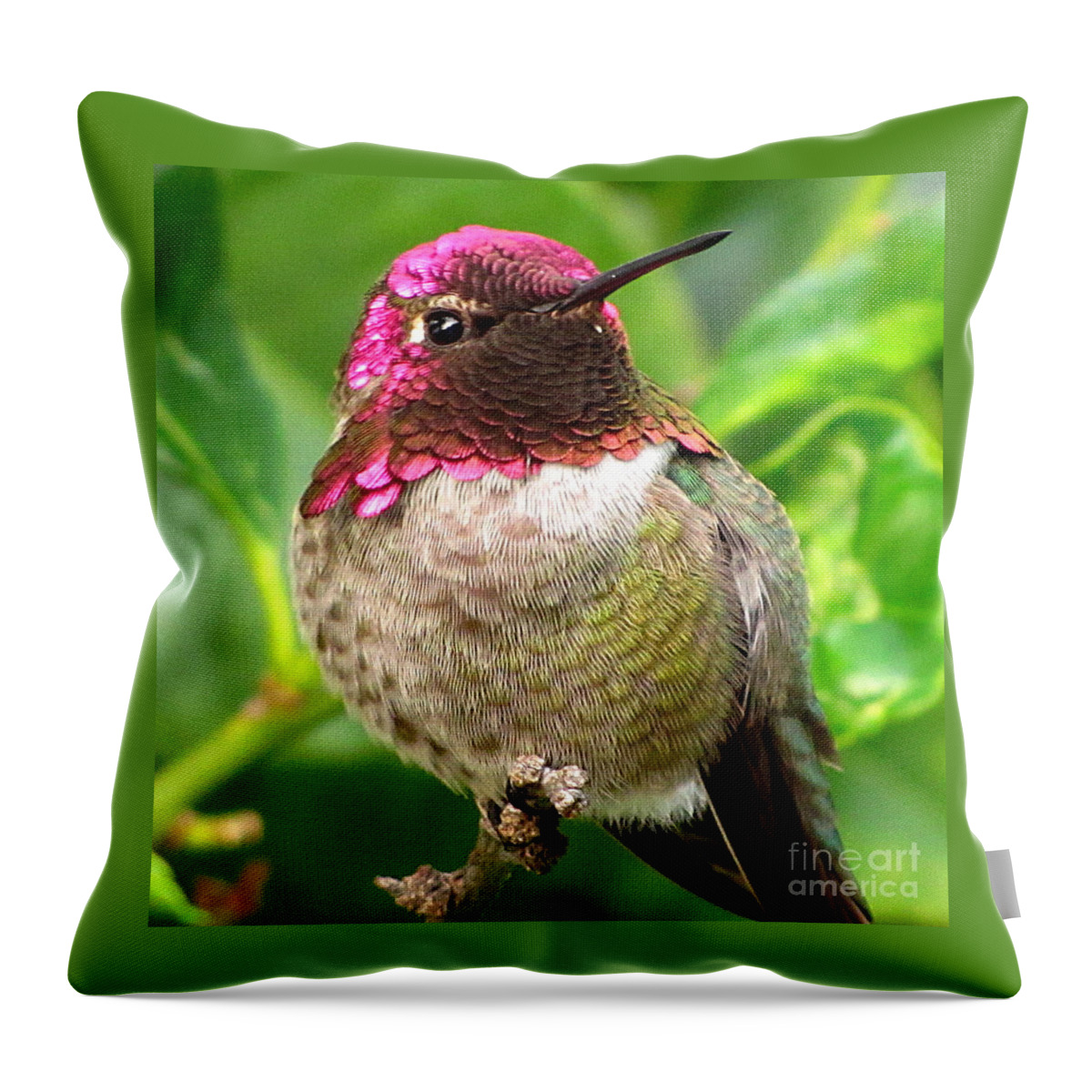 Anna's Hummingbird Throw Pillow featuring the photograph Posing For You by Marilyn Smith