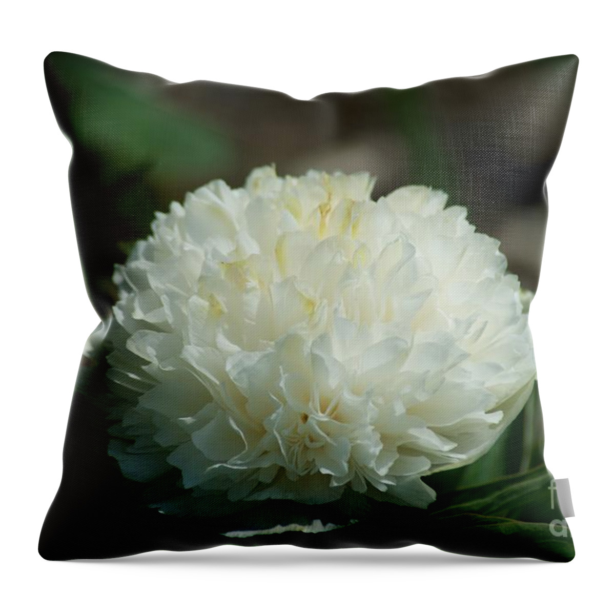 Flowers Throw Pillow featuring the photograph Potchen's Spring by Joseph Yarbrough