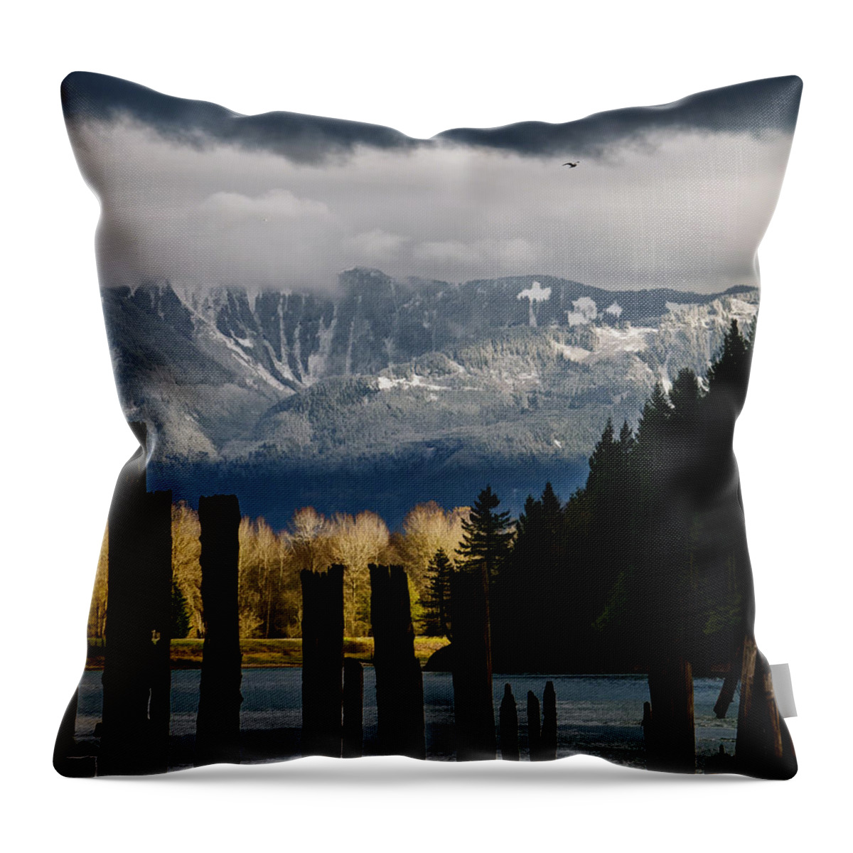 Potential Throw Pillow featuring the photograph Potential - Landscape Photography by Jordan Blackstone