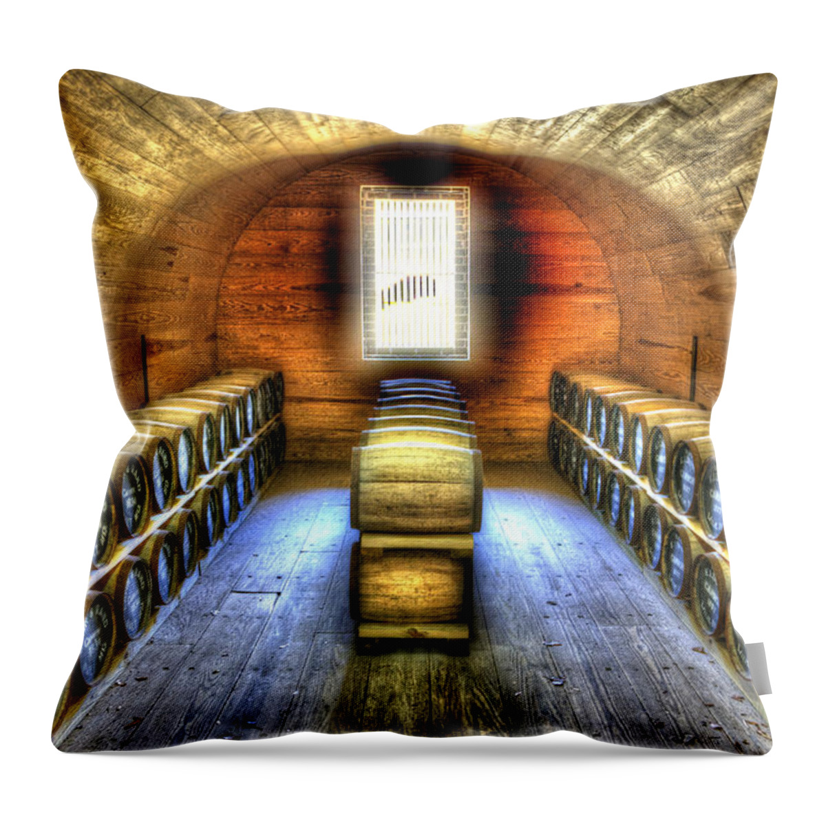 Powder Room Throw Pillow featuring the photograph Powder Room by Dale Powell